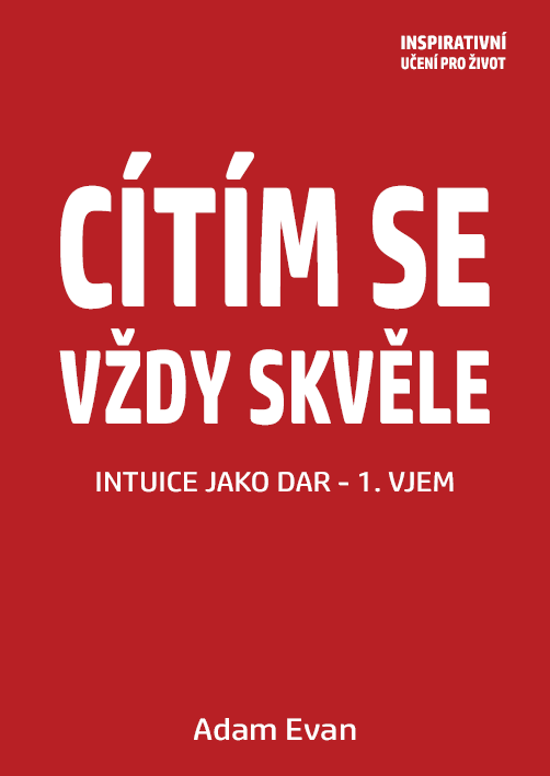 Cítím se vždy skvěle, Intuice jako dar 1. vjem